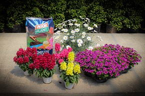 Festa della mamma